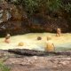 97- Bain pour enlever la couche d'argile 